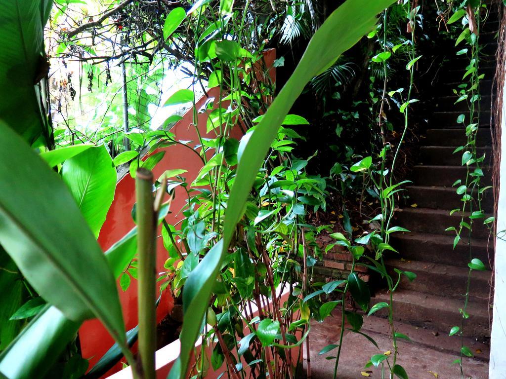Para Ti Guesthouse Rio de Janeiro Exteriör bild